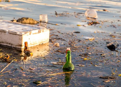 Reka Drina – ekološka katastrofa koja se ponavlja