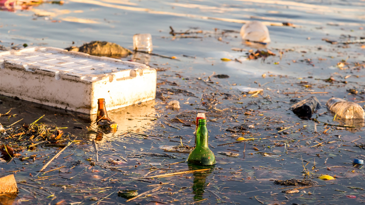 Reka Drina – ekološka katastrofa koja se ponavlja